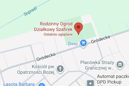 Oaza spokoju w Michałowie czeka na zmiany. Czy na działkach ROD „Szafirek” w końcu popłynie prąd?